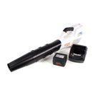 Stihl BGA 56 36 V Li-Ion Akku Blasgerät im Set mit Stihl AK 20 Akku + Stihl AL 101 Ladegerät - Toolbrothers