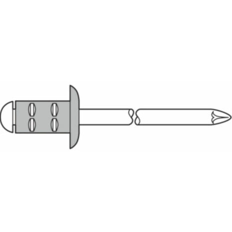 GESIPA rivetto cieco PolyGrip(R) gambo del rivetto d x l 4 x 10 mm ( 4000813759 )