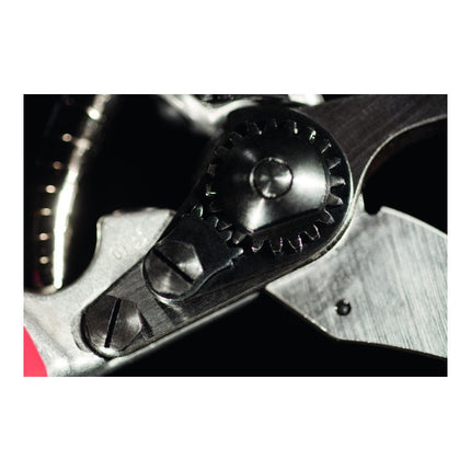 FELCO Sécateur FELCO 5 longueur totale 225 mm ( 4000815625 )