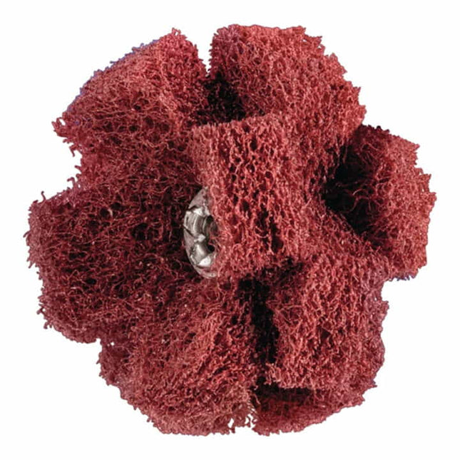 PFERD Étoile abrasive POLINOX D. 38 mm granulation 280 ( 4000841831 )