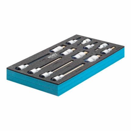HAZET Module à outils 163-220/13 13 pièces ( 4000871198 )