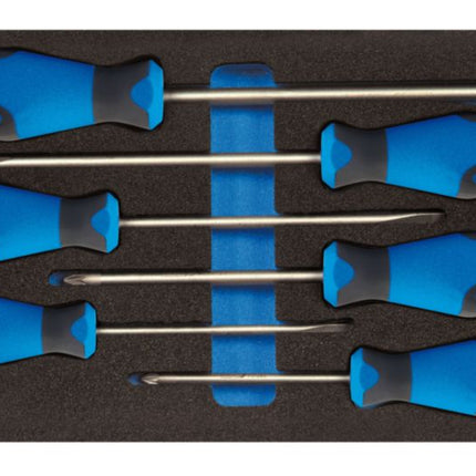 GEDORE Module à outils 1500 CT1-2150 PZ 6 pièces module 1/3 ( 4000881216 )