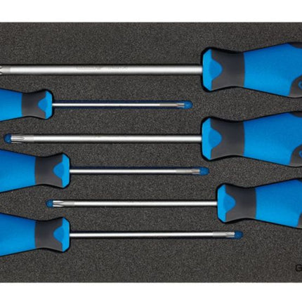 GEDORE Module à outils 1500 CT1-2163 TX 6 pièces module 1/3 ( 4000881217 )