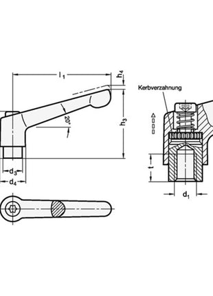 GANTER Levier de serrage réglable GN 300 D. 1 M 8 mm ( 4601000572 )