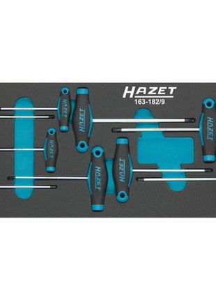 Módulo de herramientas HAZET 163-182/9 9 piezas (8000465896)