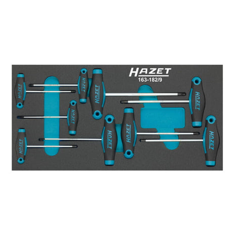 Módulo de herramientas HAZET 163-182/9 9 piezas (8000465896)