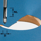 Foret Festool HW S8 D8/19 (491037) pour OF 900, OF 1000, OF 1010, OF 1010 R, OF 1400, OF 2000, OF 2200