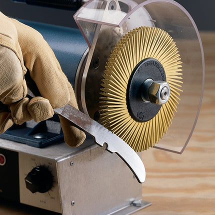 Disque brosse radiale 3M BB-ZB type A Ø150xL12x25,4mm 36 ( 4000841200 )