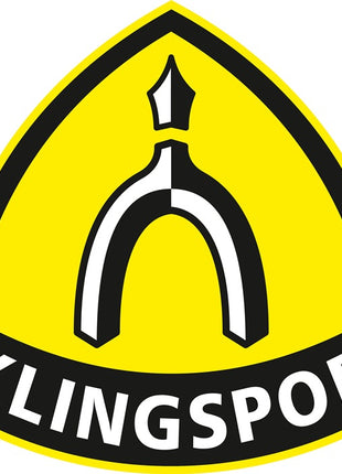 KLINGSPOR Roues à lamelles KM 613 Ø40xH20mm Grain 80 ( 4000844357 )