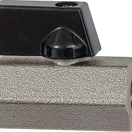 RIEGLER Mini-robinet à bille VALVE LINE 10 mm 3/8 ( 4163000189 )