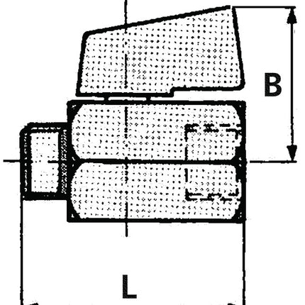 RIEGLER Mini-robinet à bille VALVE LINE 6 mm 1/4 ( 4163000190 )