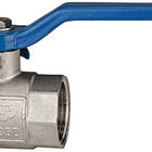 RIEGLER Robinet à bille en laiton VALVE LINE 13,16 mm G 1/4 ″ ( 4588880179 )