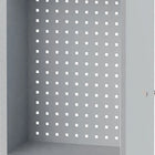 BEDRUNKA+HIRTH Armoire suspendue H750xL500xP200 mm Portes en tôle pleine ( 9000426220 )