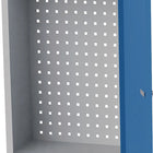 BEDRUNKA+HIRTH Armoire suspendue H750xL500xP200 mm Portes en tôle pleine ( 9000426221 )