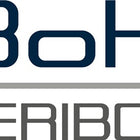 Veribor ventouse ( 4000817357 ) capacité de charge 100 kg tête Ø 120 mm