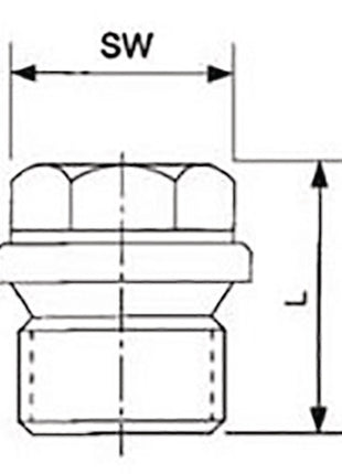 Bouchon fileté Springer DIN 910 ISO 228-1 (4000000267) NPS=1/4″ L 21 mm