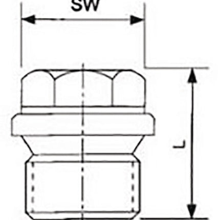 Springer Vis de fermeture DIN 910 ISO 228-1 ( 4000000267 ) NPS=1/4 ″ L 21 mm