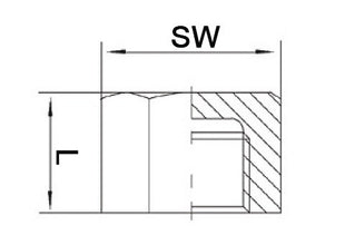 Bouchon Springer EN 10226-1 ( 4000000280 ) NPS=1 ″ L 22 mm