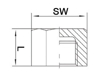 Bouchon Springer EN 10226-1 ( 4000000280 ) NPS=1 ″ L 22 mm