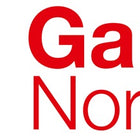 Volant Ganter GN 950 ( 4601000246 ) b 17 mm d1 140 mm d2 14 mm