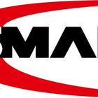 Ansmann Pile rechargeable ( 4000876124 ) 1,5 V 1800 mAh