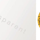 Plaquette de contrôle pluriannuelle ( 9000477099 ) L25xL60 mm Film