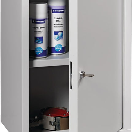 Armoire suspendue ( 9000453656 ) H600xL400xP300 mm tôle pleine, 1 fond gris clair, RAL 7035/gris clair, RAL 7035