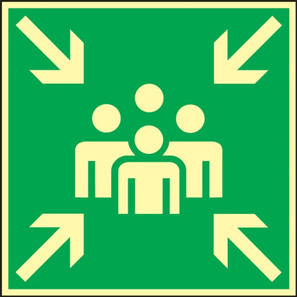 Pictogramme BGV A8 ( 3000277470 ) L148xl148 mm plastique