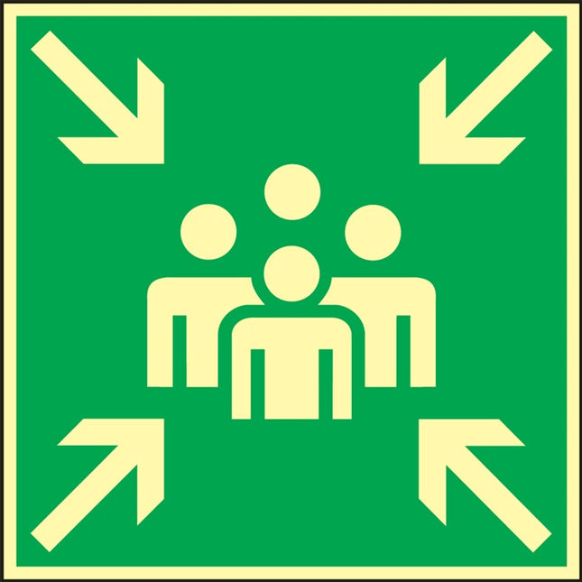 Pictogramme BGV A8 ( 3000277470 ) L148xl148 mm plastique