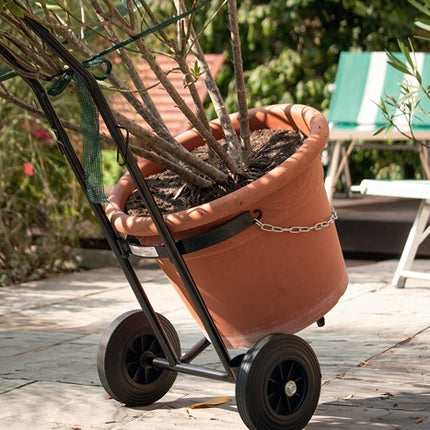 Chariot de transport de bouteilles Rothenberger Industrial ( 9000443080 ) L485xl500xH1020mm pour bouteille de propane de 5-11 kg