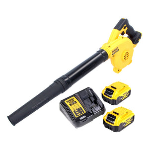 DeWalt DCV 100 P2 Souffleur de feuilles sans fil 18 V + 2x Batteries 5,0 Ah + Chargeur