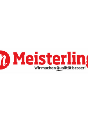 Meisterling Ruban adhésif universel 50mmx25m (12x 006300000010)