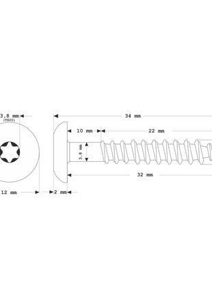 Meisterling Vis de façade 4,8x32 mm - 100 pièces (010020000121) tête plate 12 mm gris clair + Filetage partiel Torx acier inoxydable V2A