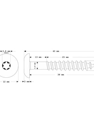 Tornillos para fachada Meisterling 4,8x38 mm 100 piezas (010020000201) 12 mm cabeza plana blanco con rosca parcial Torx Acero inoxidable V2A