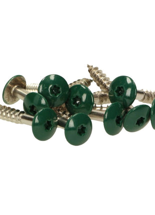 Tornillos para fachada Meisterling 4,8x38 mm 100 piezas (010020000241) 12 mm cabeza plana verde oscuro con rosca parcial Torx Acero inoxidable V2A