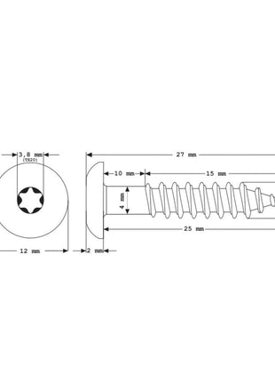 Meisterling Vis de façade 5,5x25 mm - 100 pièces (010030000001) 12 mm tête plate blanche + Filetage partiel Torx V4A acier inoxydable