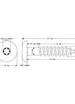 Tornillos para fachada Meisterling 5,5x25 mm 100 piezas (010030000021) 12 mm cabeza plana gris claro con rosca parcial Torx Acero inoxidable V4A