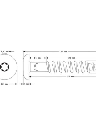 Meisterling Vis de façade 5,5x35 mm - 100 pièces (010030000101) 12 mm tête plate blanche + Filetage partiel Torx V4A acier inoxydable