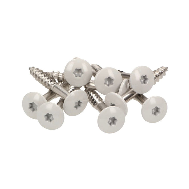 Meisterling Vis de façade 5,5x35 mm, 100 pcs., tête plate 12 mm, filetage partiel, empreinte Torx, acier inoxydable V4A, gris clair (010030000121)