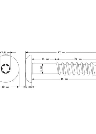 Meisterling Vis de façade 5,5x45 mm, 100 pcs., tête plate 12 mm, filetage partiel, empreinte Torx, acier inoxydable V4A, gris foncé (010030000331)