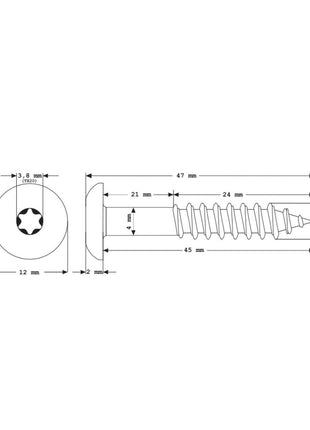 Meisterling Vis de façade 5,5x45 mm, 100 pcs., tête plate 12 mm, filetage partiel, empreinte Torx, acier inoxydable V4A, gris clair  (010030000341)