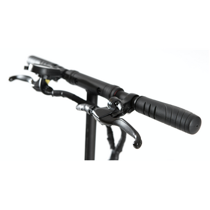 EGRET TEN V4 36 V E-Scooter Scooter électrique Moteur 350 Watt ( 95806-B ) 20 km/h jusqu'à 30 km d'autonomie 10 cm Diamètre noir/bois Légal sur route avec ABE