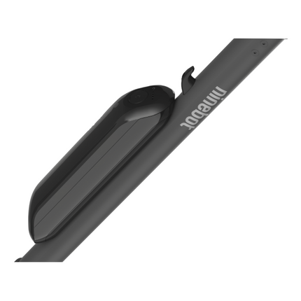 Ninebot by Segway Batterie pour e-scooters ES1, ES2, ES2L, ES4, E22E, E22D, E45E, E45D ( 3802508 )