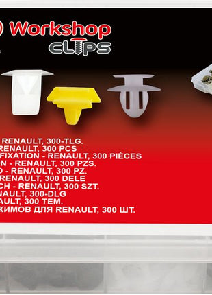 KS TOOLS Befestigungs-Clip-Satz für Renault, 300-tlg ( 420.0750 ) - Toolbrothers