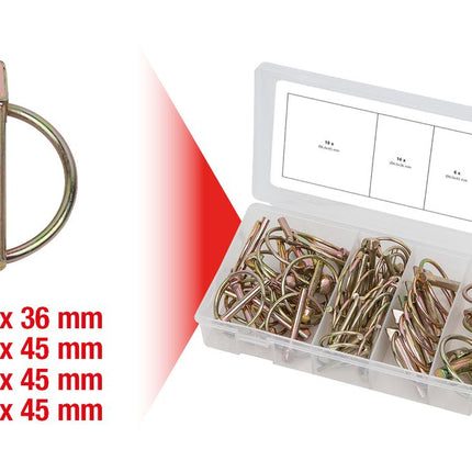 KS TOOLS Sortiment Klappsplinte, 50-tlg ( 970.0550 ) - Toolbrothers