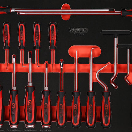 KS TOOLS Jeu de tournevis et crochets dans insert en mousse, 19 pcs ( 811.1019 )