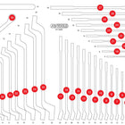 KS TOOLS Insert en mousse vide pour 811.0038 ( 811.0038-97 )