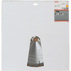 BOSCH Lame pour scie circulaire  D. ext. 400 mm nombre de dents 28 WZ ( 4000815460 )