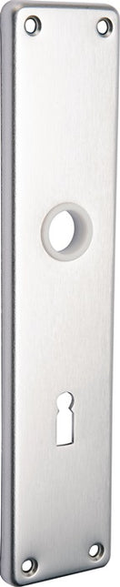 Paire de panneaux de rénovation EDI 220 Z en acier inoxydable F00 (3000261359)