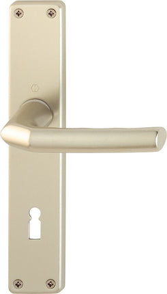 HOPPE Garniture à plaque longue Birmingham 1117/202SP aluminium F2 ( 3000252988 )